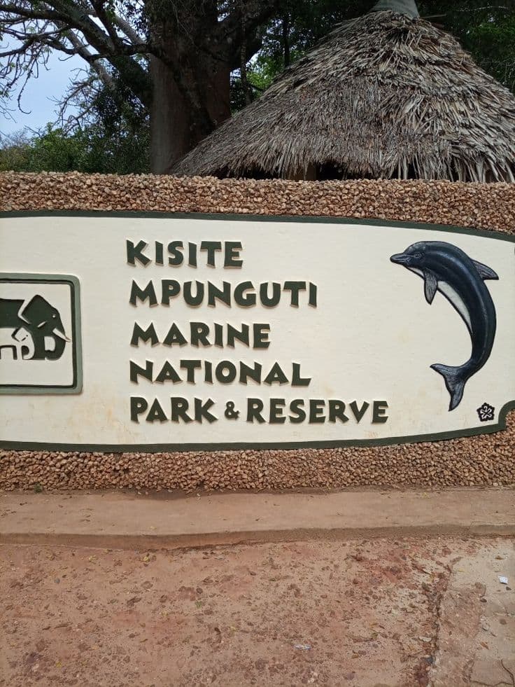 Nearby Kisite/Mpunguti Marine Park